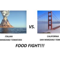 Italian vs California San Marzano
