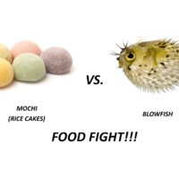 Mochi vs Blowfish