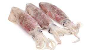 squid - Chef's Mandala