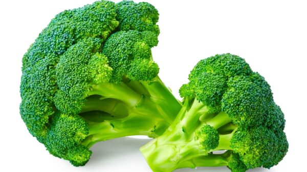 ARCHAEOLOGY OF FRUITS & VEGETABLES - Broccoli - Chef's Mandala