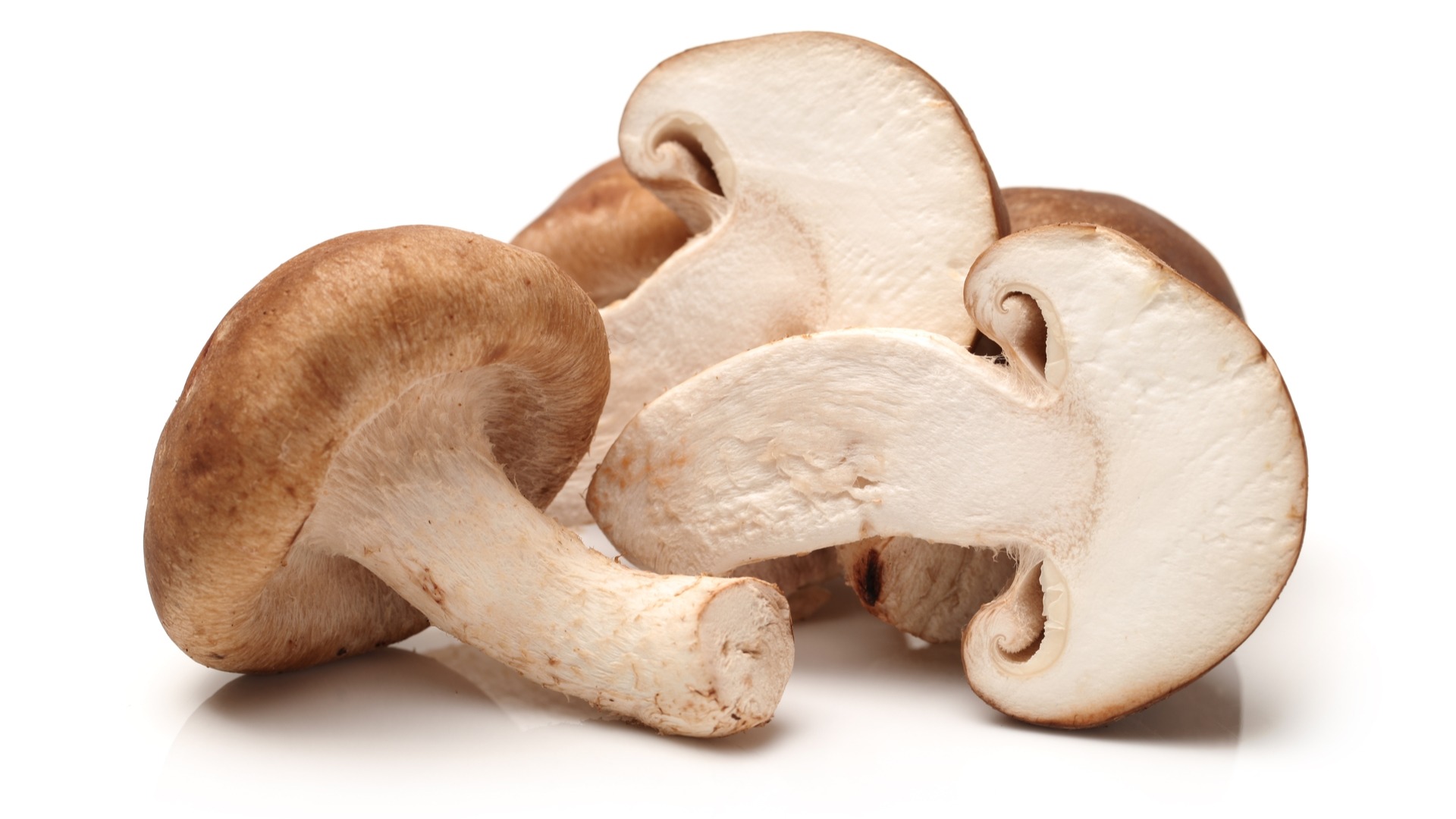shiitake, mushroom