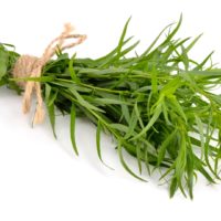 tarragon, herb