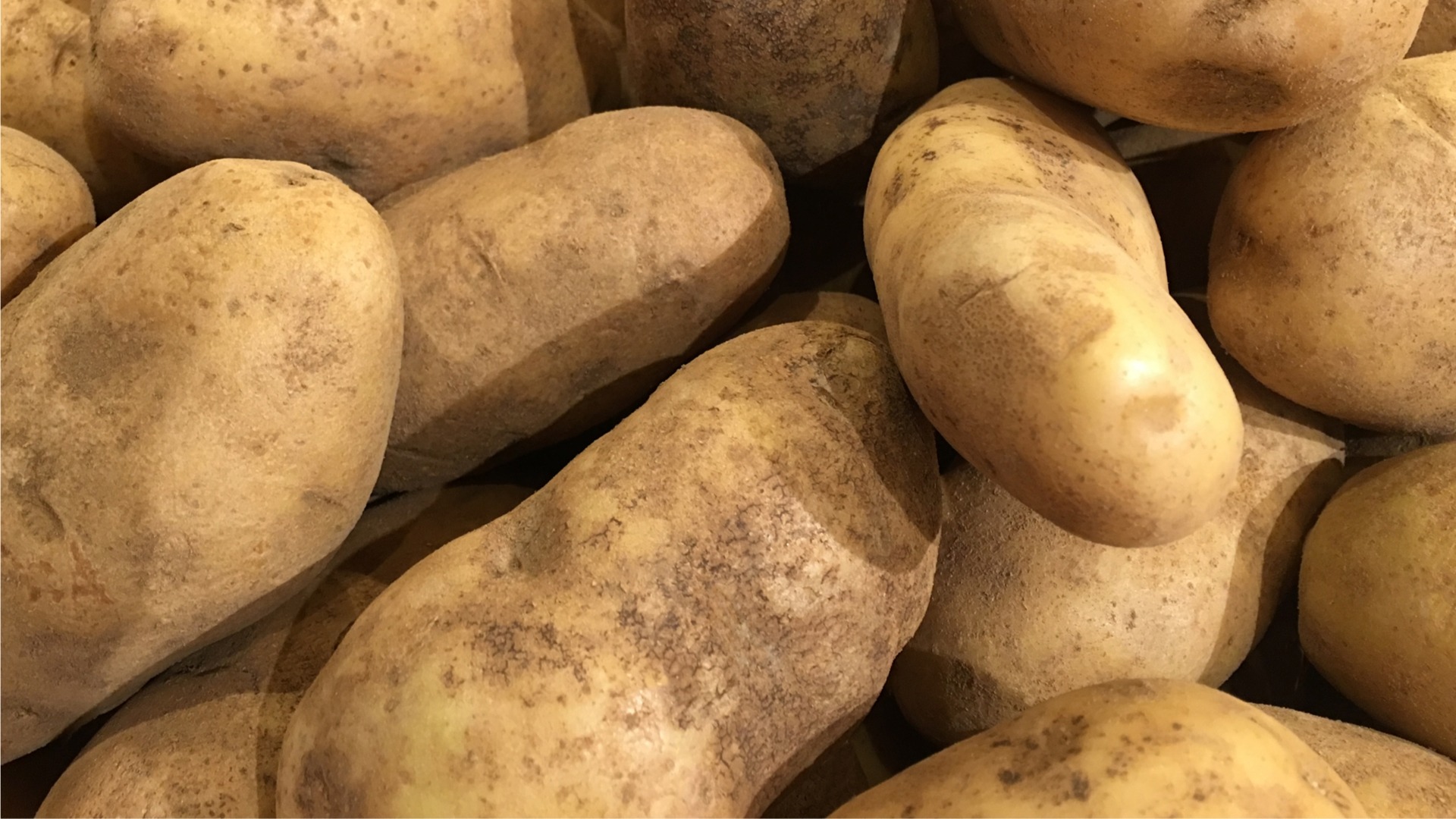 Yukon Gold potato